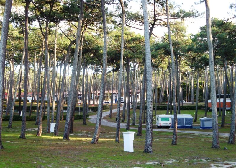Parque De Campismo Orbitur Sao Pedro De Moel Hotel Eksteriør billede