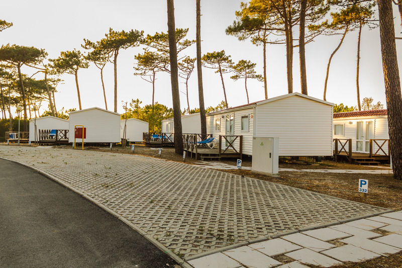 Parque De Campismo Orbitur Sao Pedro De Moel Hotel Eksteriør billede